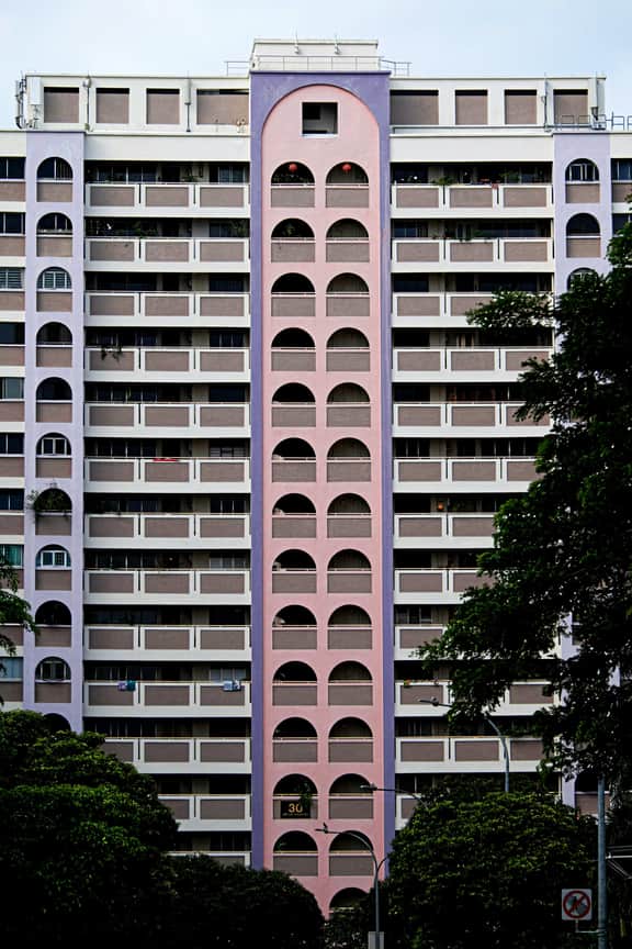 The Purple House